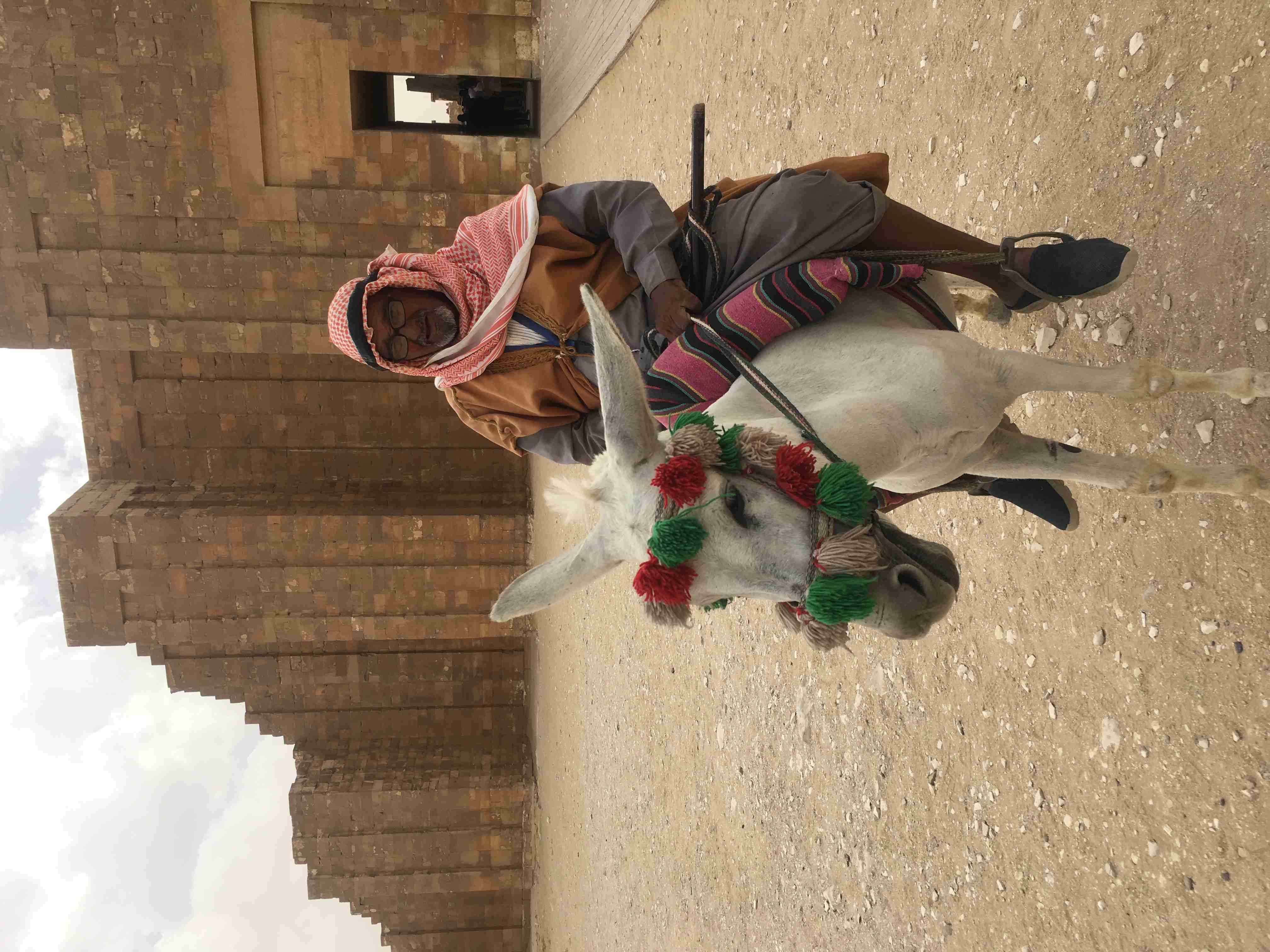 Un Égyptien en tenue traditionnelle, assis sur un âne blanc décoré, pose devant l'impressionnante muraille d'enceinte antique du complexe de la pyramide à degrés de Saqqara.