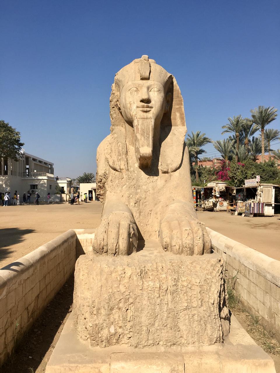 Vue de face du Sphinx d'Albâtre de Memphis, une grande statue bien conservée dans le Musée en Plein Air de Memphis, entourée de palmiers et de bâtiments locaux