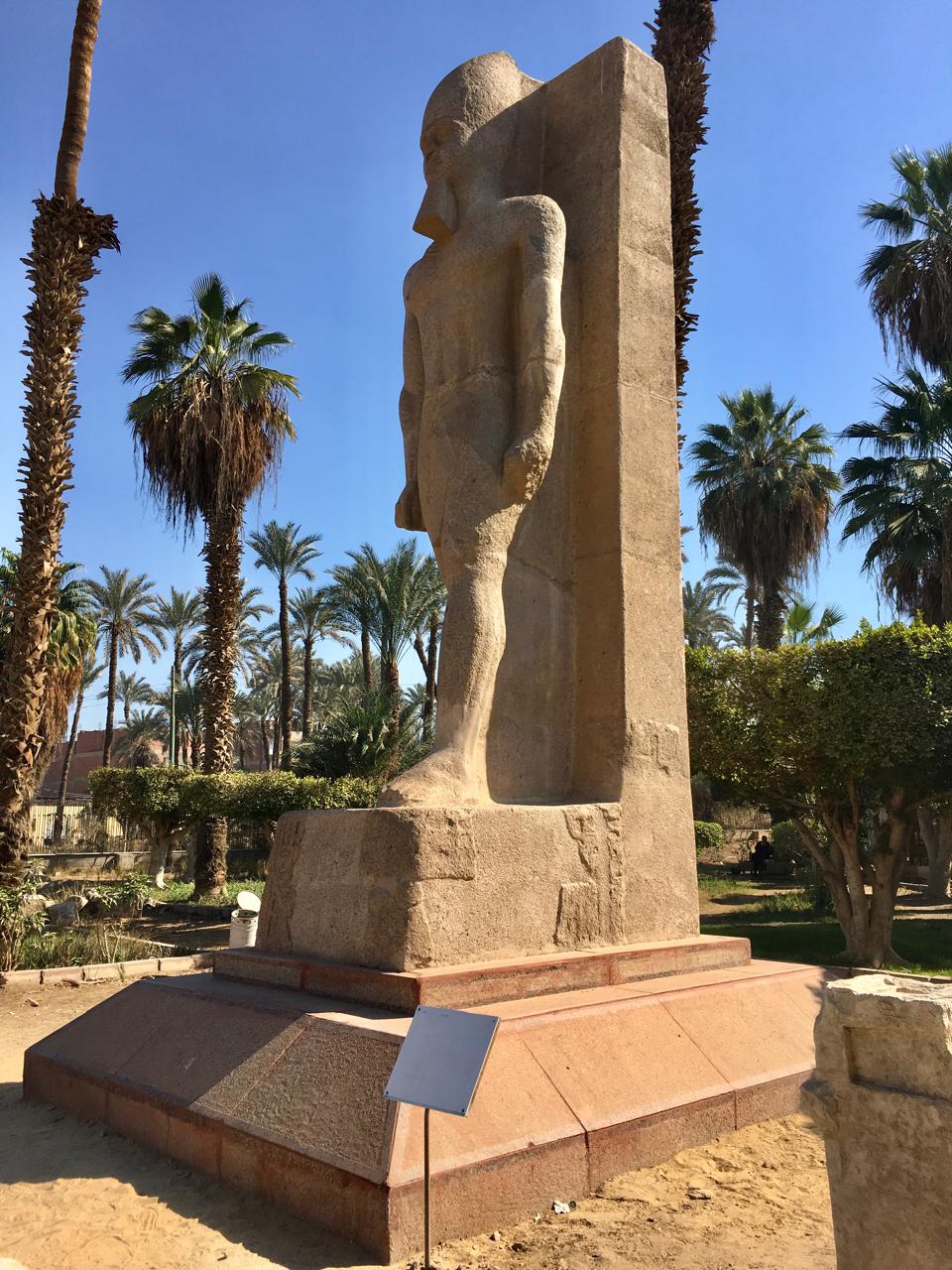 La statue colossale debout de Ramsès II exposée à l'extérieur au milieu des palmiers, vue de l'arrière du pilier de support sculpté, au Musée en Plein Air de Memphis