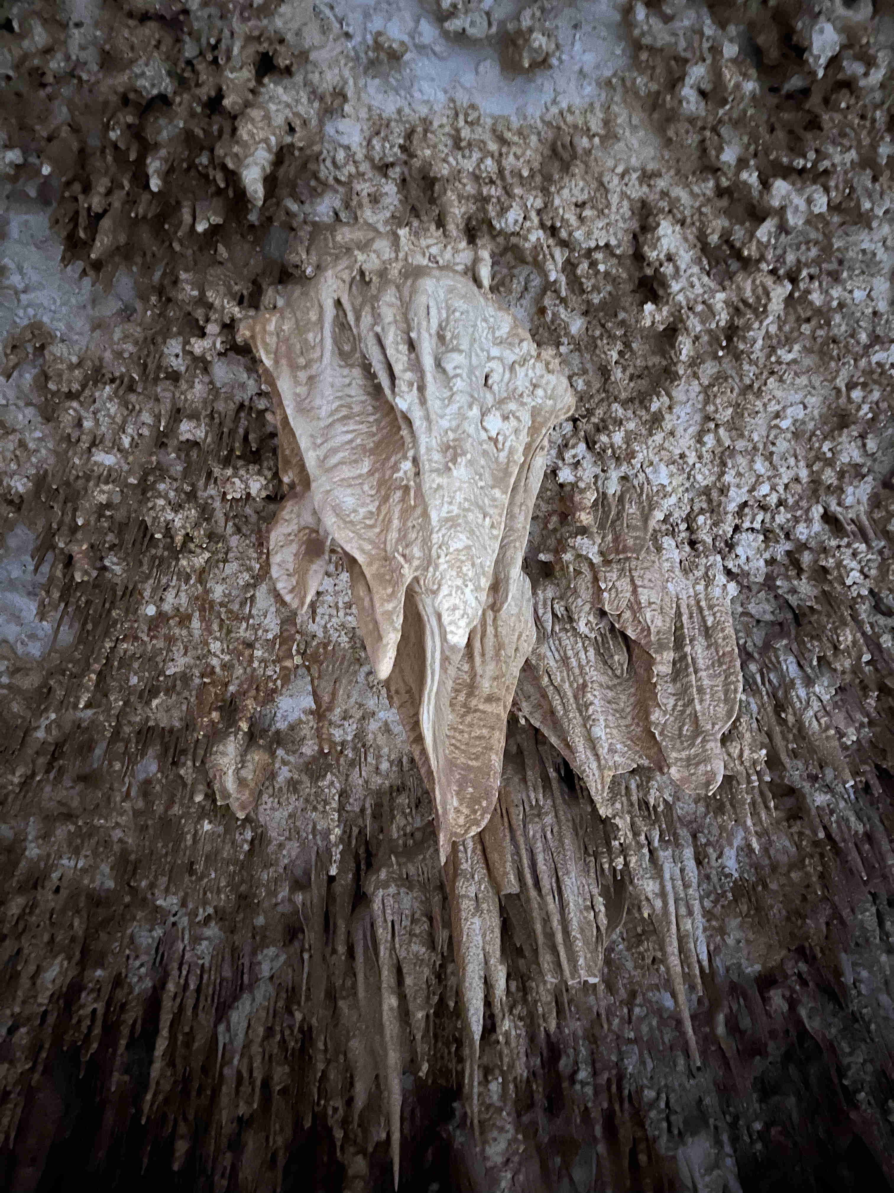A close-up view of the intricate, draped flowstone and stalactite formations hanging from the ceiling inside the protected Djara Cave