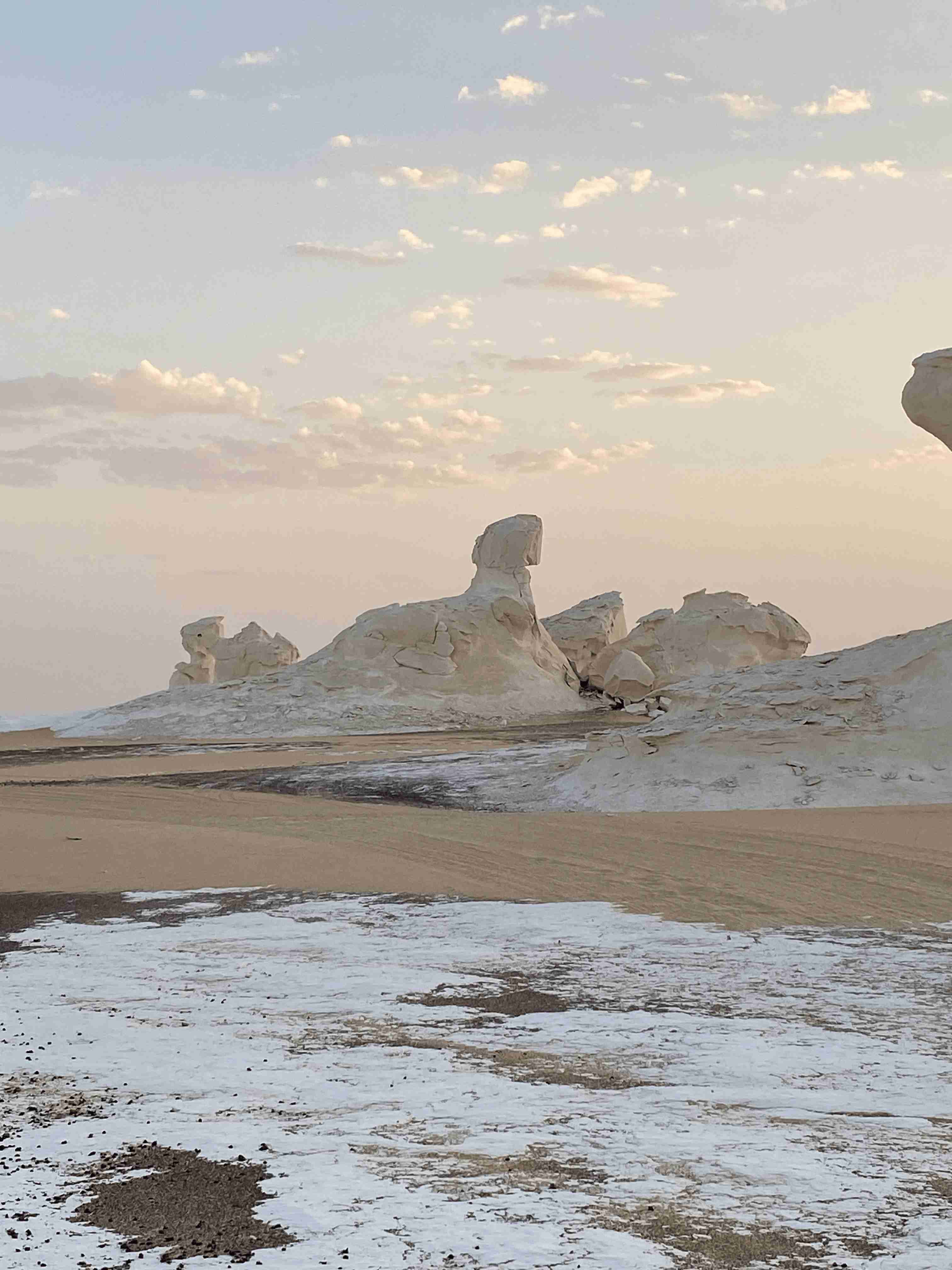 The famous Chicken and Mushroom chalk rock formations in the White Desert National Park at sunset, with a white, clay-like floor and soft desert colors