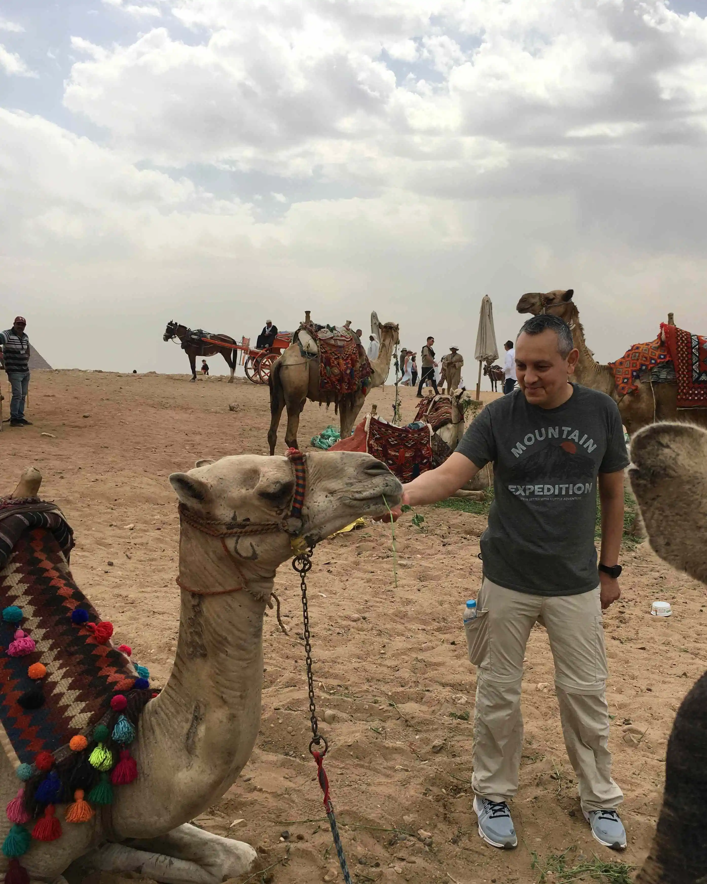 Meeting The Camels