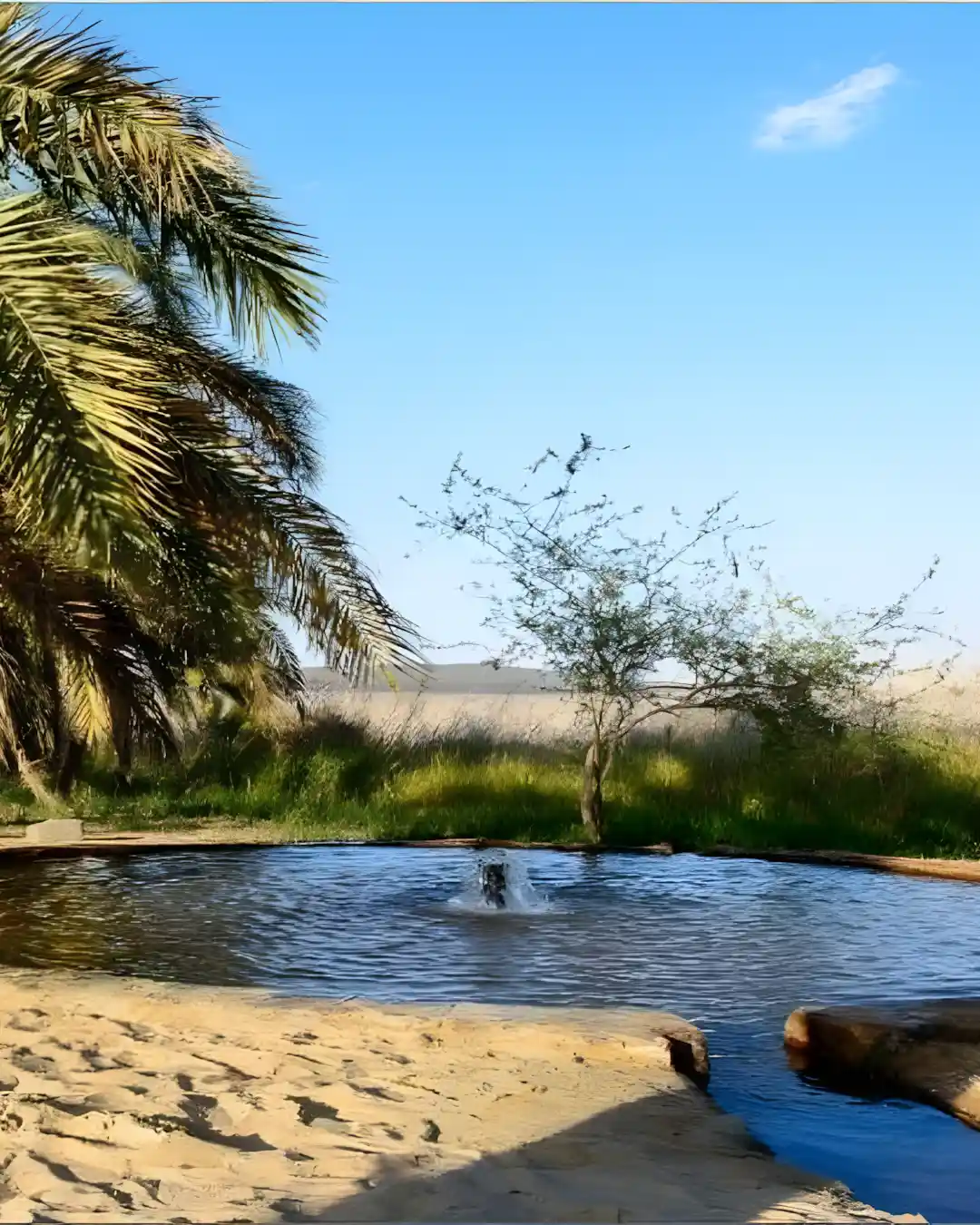 A natural hot spring pool located at Ain El-Serw (The Magic Spring), situated within the White Desert National Park