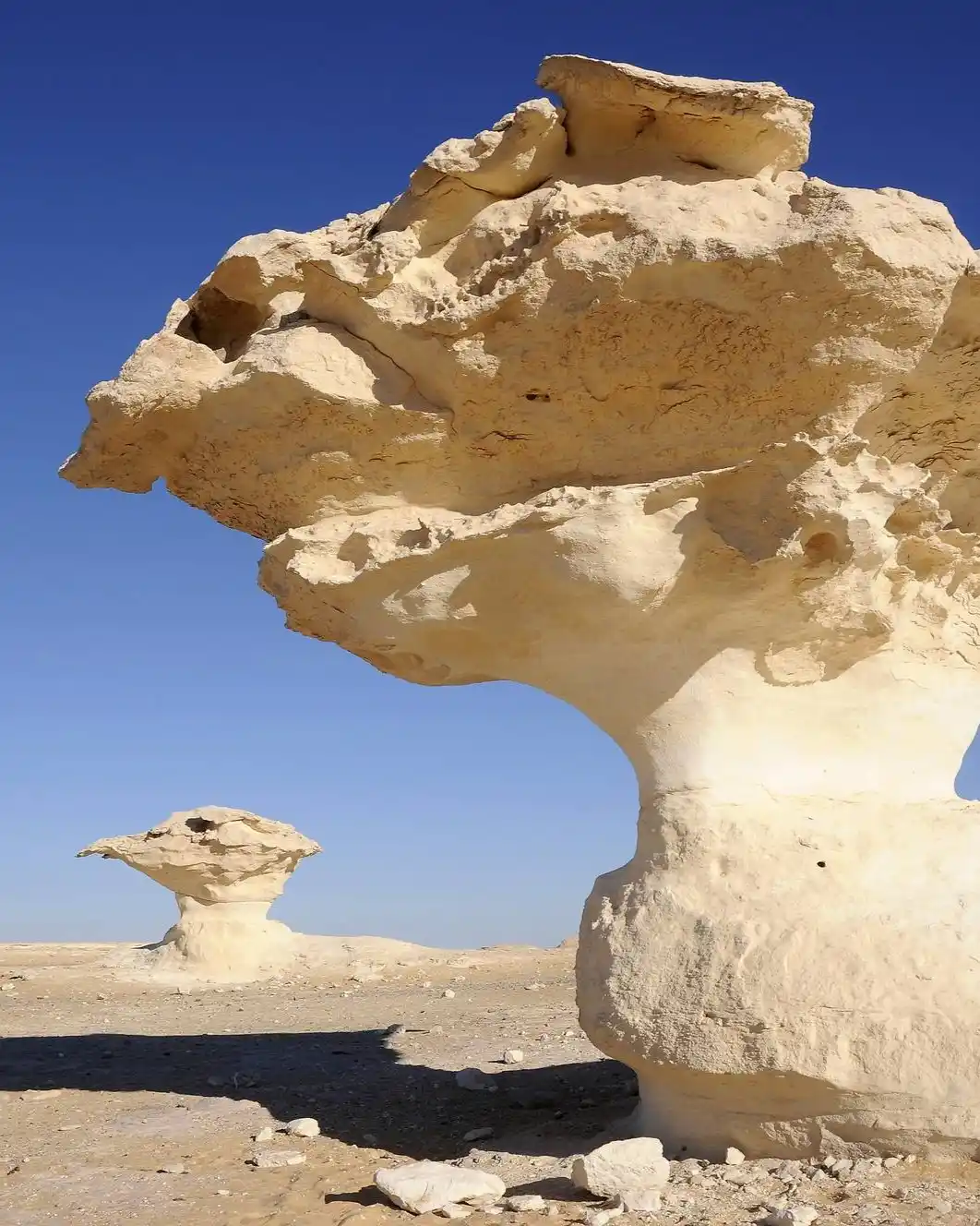 Wind-carved mushroom-shaped chalk rock formations