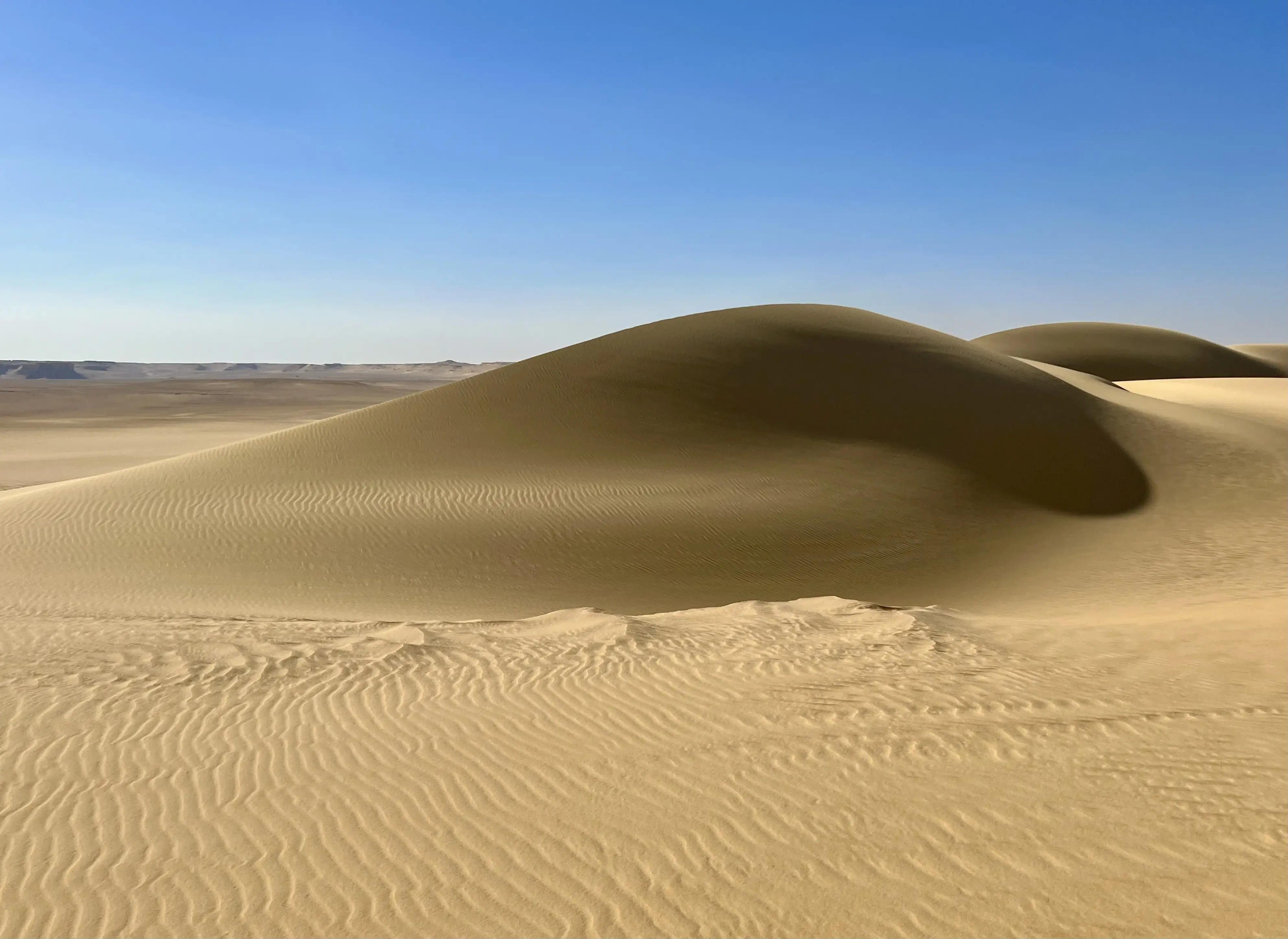 Faiyum Desert Tours