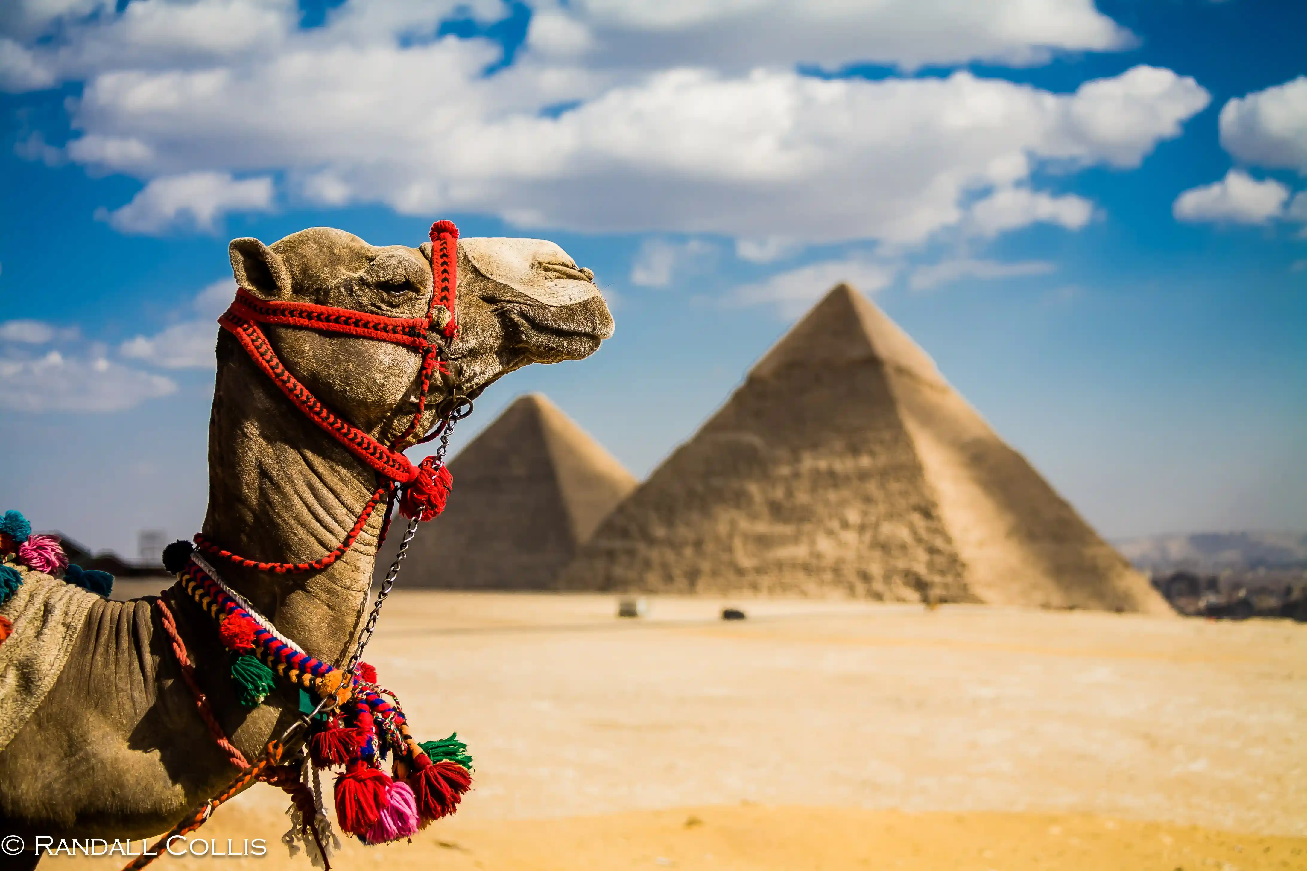 Egypt Private Tours