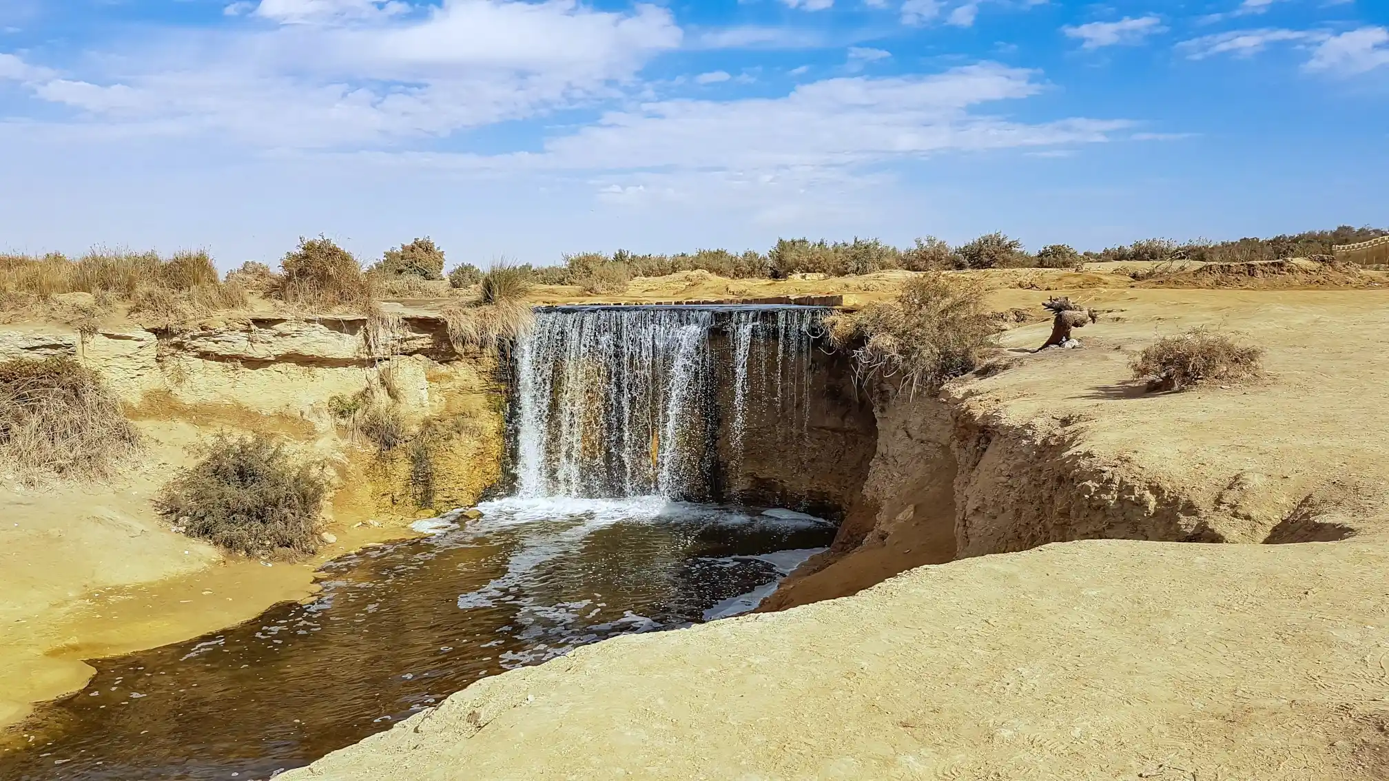 Faiyum Day Tours